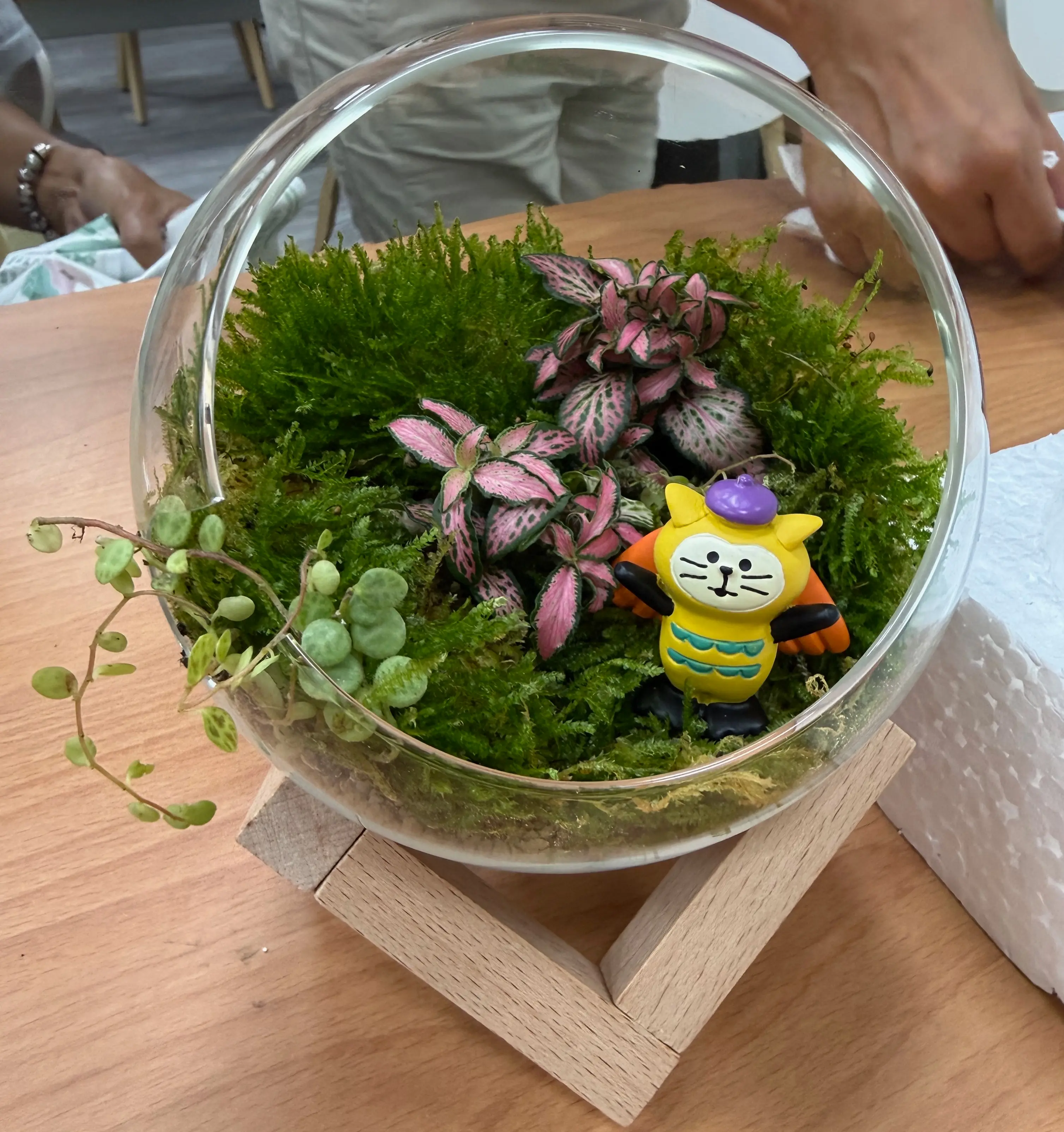 日和植所 桌上型生態瓶