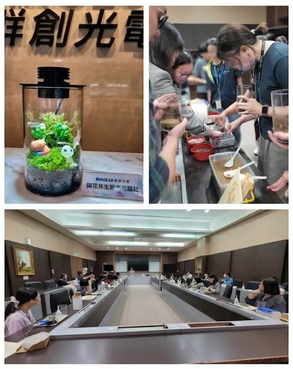 群創光電 Innolux 員工福委會活動：30 人手作苔蘚生態瓶