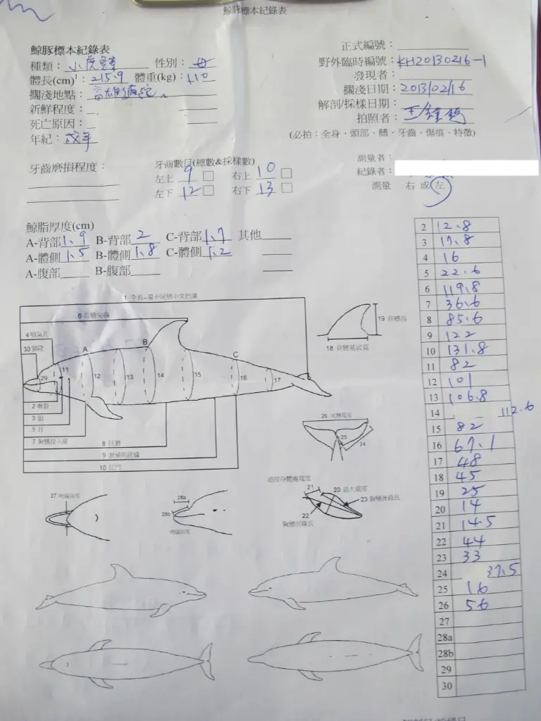 2013 年 Momo 老師親筆填寫之解剖標本表