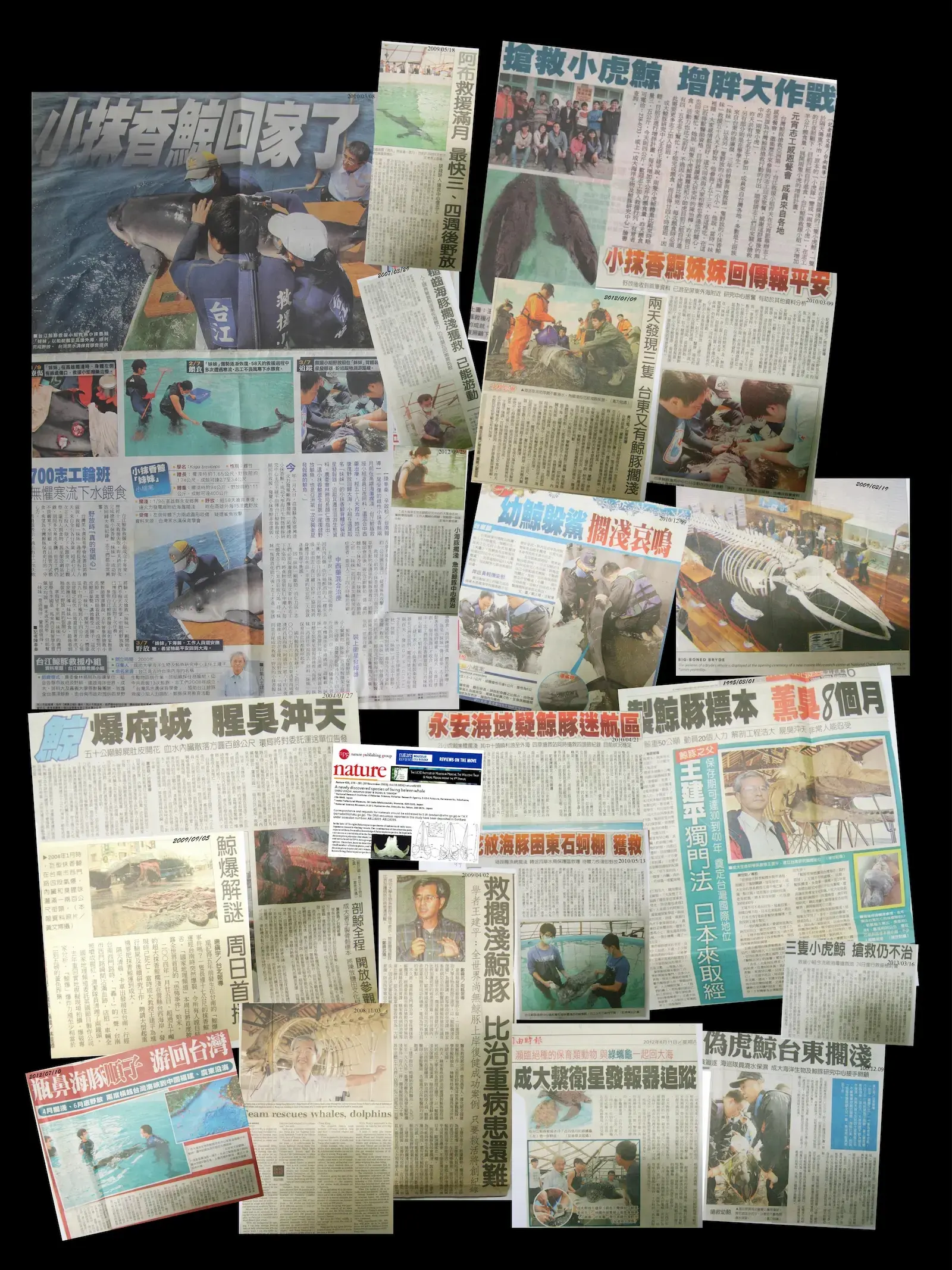 新聞剪報看板