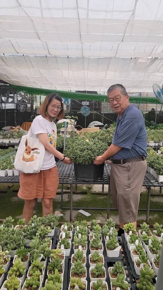 日和植所Momo老師與台灣多肉植物熊童子之父張清鑑老師於鎮店老熊樹前歷史性合影