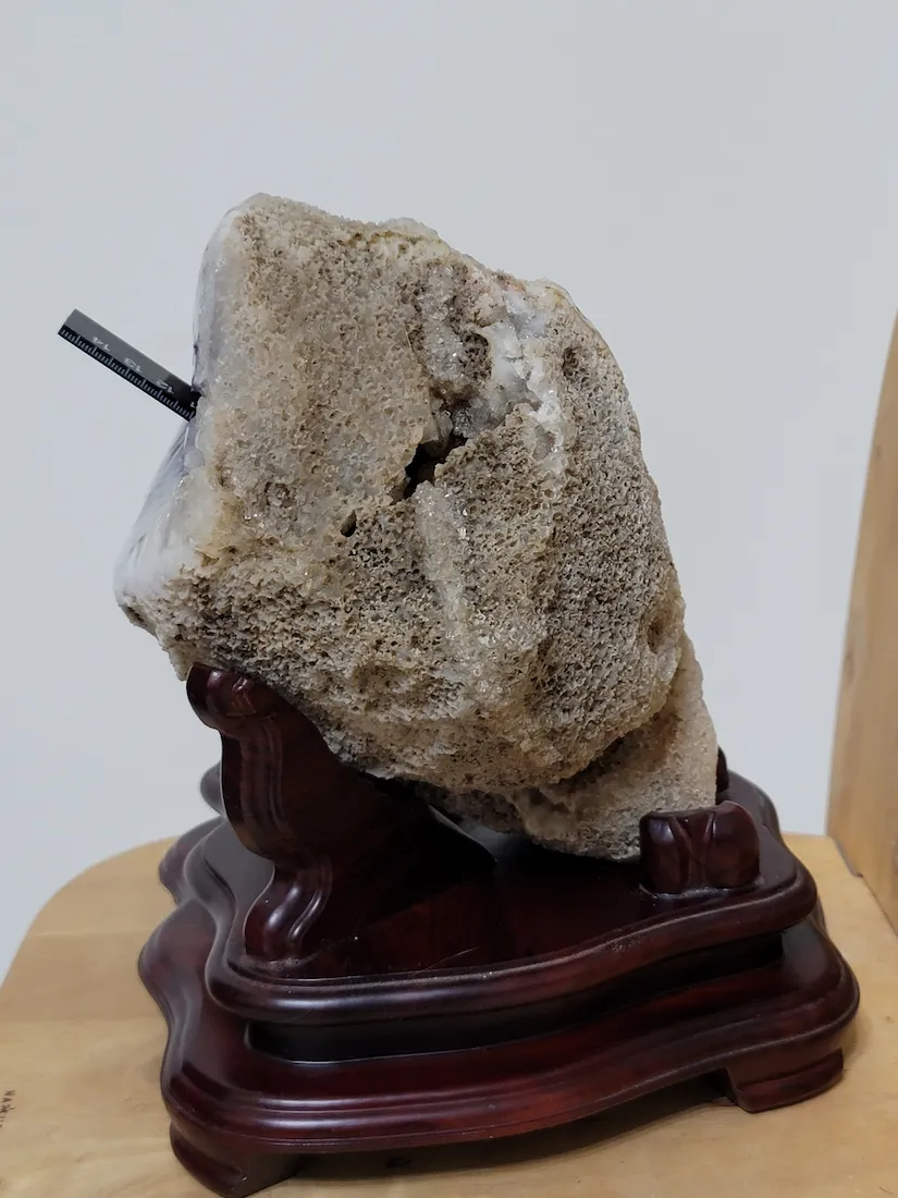 紫晶海螺右側視角與專屬木座結合展示。厚達16公分的厚實原礦搭配優雅底座，成為安放於空間的定海神針，散發歷經滄桑後的無比靜定。 | Right View of White Amethyst Conch Geode with Wooden Stand. Premium Mineral Collection for Interior Decor.